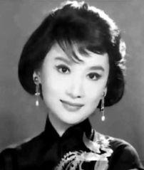 夏梦的资料,银幕传奇，永恒的东方美人