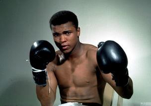 阿里拳王图片,激战巅峰，荣耀归来